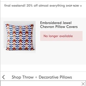 Sold out West Elm throw pillow